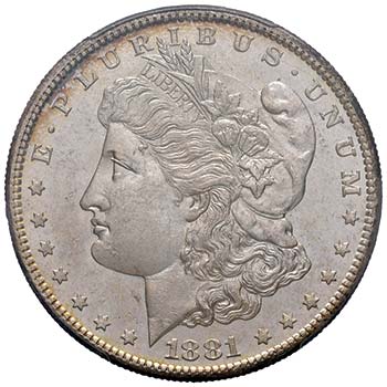 USA Dollaro 1881 S - AG In slab ... 