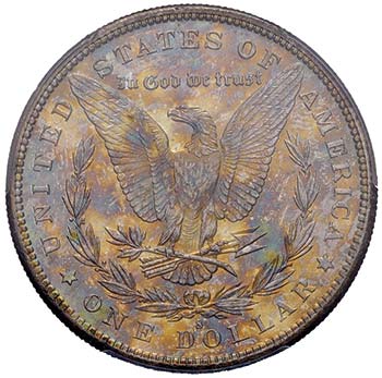 USA Dollaro 1881 S - AG In slab ... 