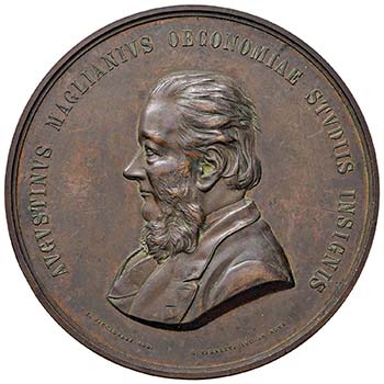 Medaglia 1882 - Agostino Magliani ... 