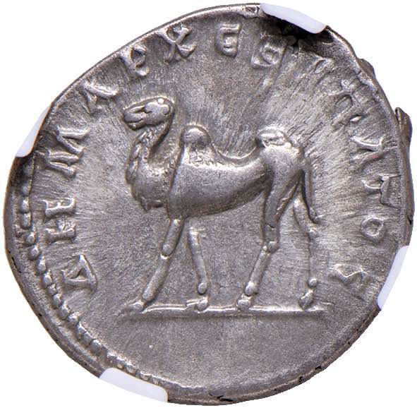    Traiano (98-117) Dracma di ... 