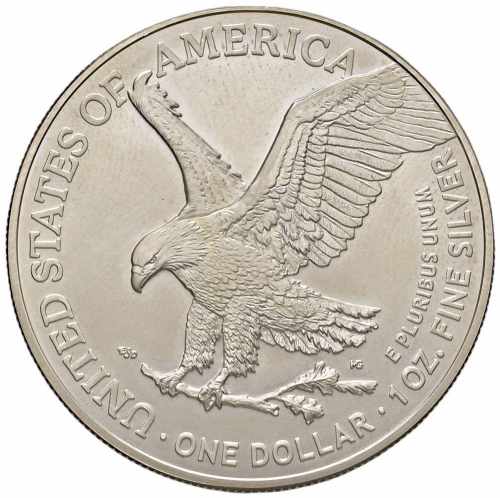 USA Dollaro/Oncia 2021 - AG (g ... 