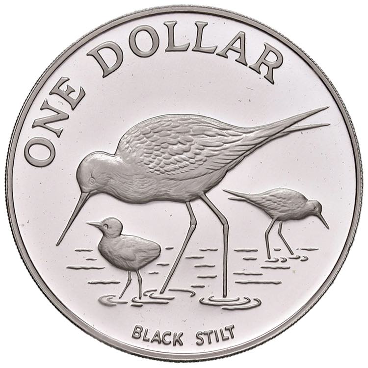 NUOVA ZELANDA Dollaro 1985 - AG (g ... 