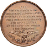 Medaglie dei Savoia - Medaglia 1884 Visita ... 