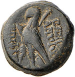 SIRIA Antioco VIII (121-96 a.C.) AE - Testa ... 