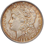 USA Dollaro 1886 - AG (g ... 