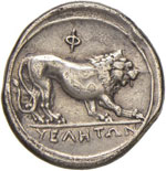 LUCANIA Velia - Statere (300-280 a.C.) Testa ... 