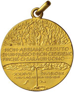 Medaglia 1916, 37° divisione Val Lagarina ... 