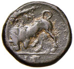 SICILIA Siracusa Agatocle (317-289 a.C.)  AE ... 