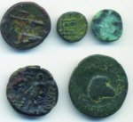 5 Monete greche in bronzo della Tracia e ... 