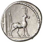 Plancia - Cn. Plancius - Denario (55 a.C.) ... 