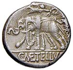 Caecilia - C. Metellus - Denario (125 a.C.) ... 