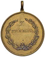 Medaglia 1900 - Umberto I a Napoli per il ... 