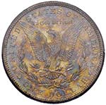 USA Dollaro 1881 S - AG In slab PCGS MS64 ... 