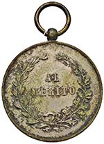 NAPOLI Medaglia 1875 - Medaglia al merito ... 