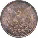 USA Dollaro 1884 O - AG In slab ANACS MS63 ... 