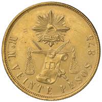 MESSICO Carlo IV (1788-1808) 20 Pesos 1903 - ... 