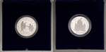Giovanni Paolo II (1978-2005) 10 e 5 Euro ... 