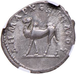    Traiano (98-117) Dracma di Bostra ... 