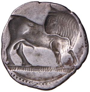 LUCANIA Sibari - Statere (circa 550-510 ... 