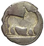 Grecia - Sibari - statere Ag. Sibari 530-510 ... 