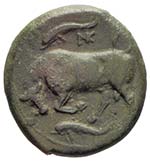 Magna Grecia - Siracusa - bronzo. Siracusa ... 