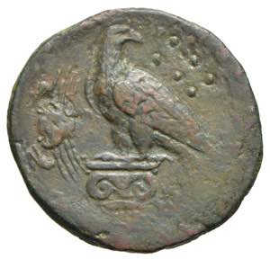Monete Greche - Agrigento - bronzo Ae. ... 