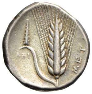 Monete Greche - Metapontio - didramma ... 