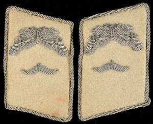 Pair collar patch for a Lieutenant the ... 