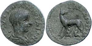 Coins from the Roman provinces Troas, ilium, ... 