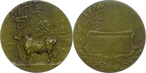 Medallions foreign after 1900 Bronze medal ... 