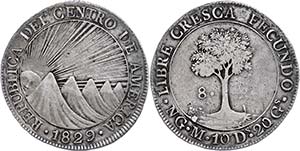 Guatemala 8 Real, 1829, NG M, KM 4, ss.  ss