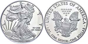 USA 1 Dollar, 2011, W, Silver Eagle, in Slab ... 
