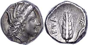 Lucania Metapontum, stater (7, 75 g), ... 