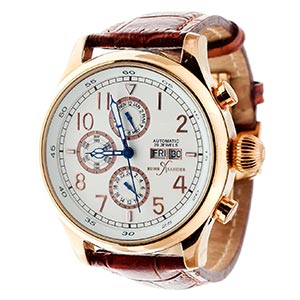 Various Wristwatches for Men Automatic ... 