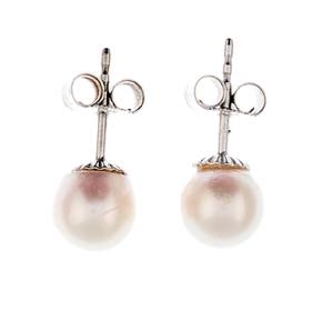 Earrings Pair timeless Akoya cultured pearl ... 