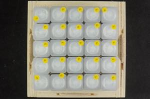 Collections Foreign 500 x 100 Dram, 2021, ... 