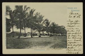 Cameroon 10 franked picture postcards and 4 ... 