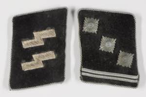 Waffen-SS, SS-Verfügungstruppe, ... 