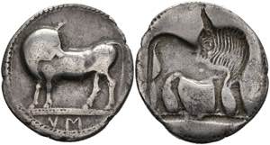 Lucania Sybaris, stater (7, 67 g), about 525 ... 