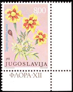 Jugoslavia 8 Din. Garden flowers, background ... 