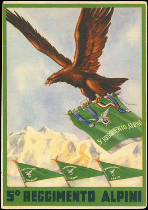 5¯Reggimento Alpini, cartolina scritta ... 