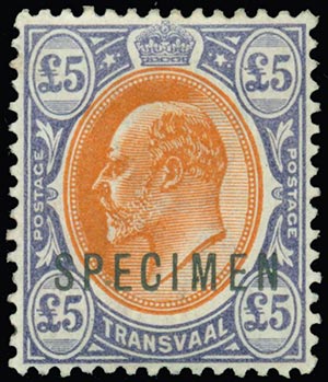 TRANSVAAL 1903, EDWARD VII. 5£. SPECIMEN ... 