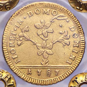 ROMA - Pio VI (1775-1799) - Doppia ... 