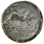 APULIA - Arpi AE 21 (AE g. 7,22)