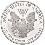 U.S.A. - Dollaro - 2005 W- American Eagle - ... 