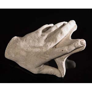 Modello anatomico di mano in gesso da calco, ... 