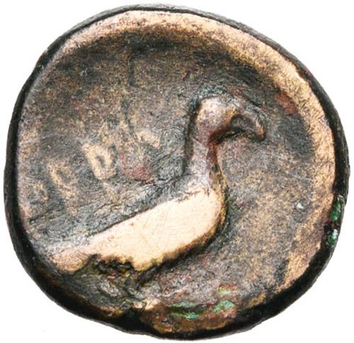 CALABRE, ORRA, AE bronze, vers 250-225 av. ... 