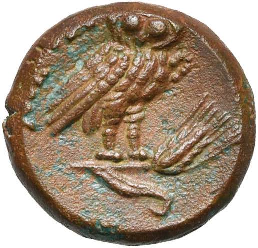 LUCANIE, METAPONTE, AE bronze, vers 330 av. ... 