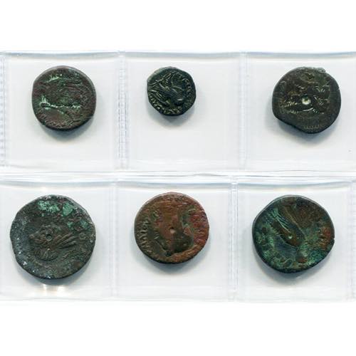 ROYAUME LAGIDE, lot de 6 bronzes: Ptolémée ... 