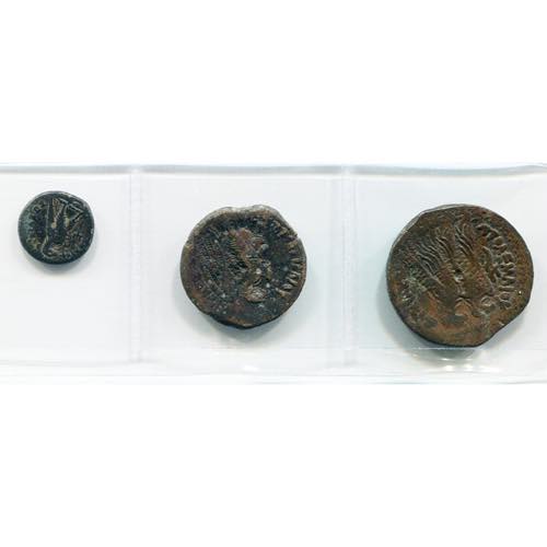 ROYAUME LAGIDE, lot de 3 bronzes: Ptolémée ... 